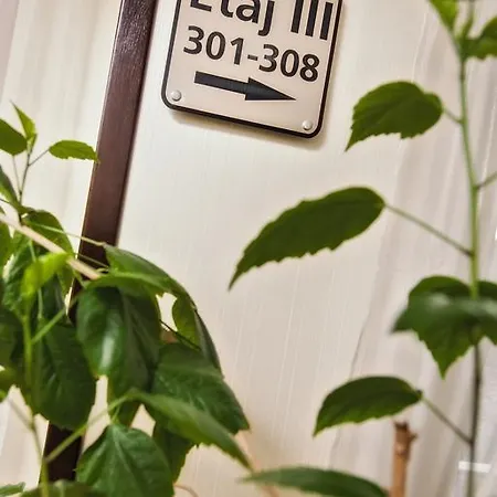 Hotel Ozana 4*